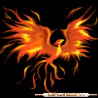 EL RED BULL TE DA ALAS Y LOS PORROS TAMBIEN